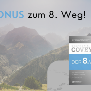 Bonusmaterial zu Der 8. Weg: Mit Effektivität zu wahrer Größe
