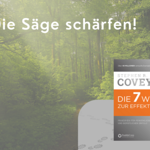 Prinzipien der ausgewogenen Selbsterneuerung